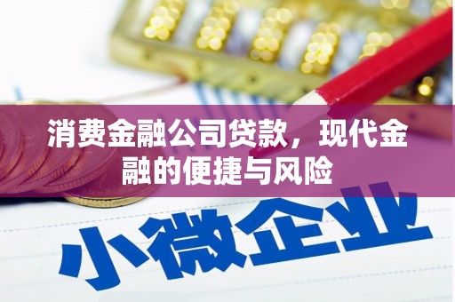 松北消费金融公司贷款，现代金融的便捷与风险