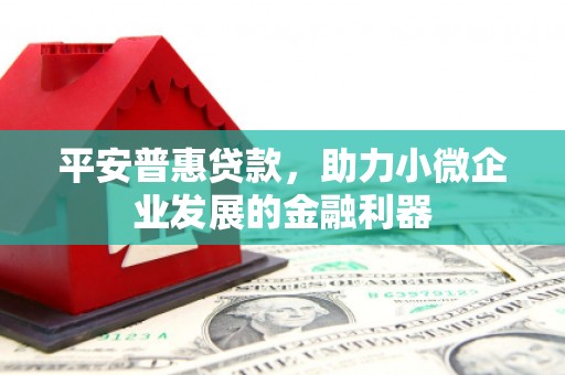 偃师平安普惠贷款，助力小微企业发展的金融利器