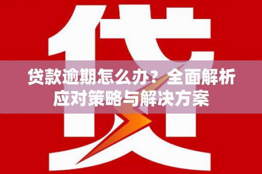 水林贷款逾期怎么办？全面解析应对策略与解决方案