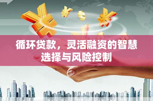 头份循环贷款，灵活融资的智慧选择与风险控制