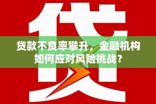 洪江贷款不良率攀升，金融机构如何应对风险挑战？