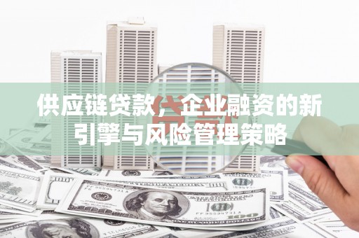 湛江供应链贷款，企业融资的新引擎与风险管理策略