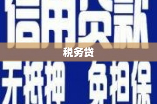 大宁税务贷