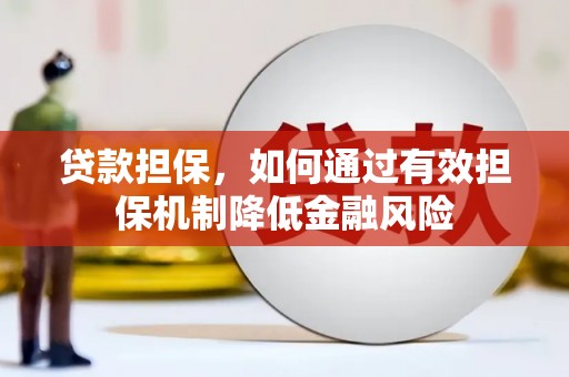 天元贷款担保，如何通过有效担保机制降低金融风险