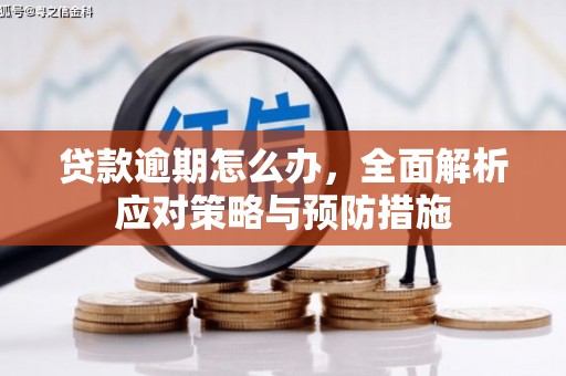 清城贷款逾期怎么办，全面解析应对策略与预防措施