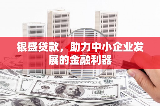 黔西南银盛贷款，助力中小企业发展的金融利器