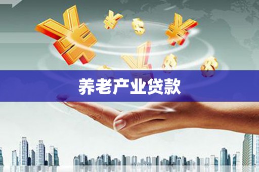 玄武养老产业贷款