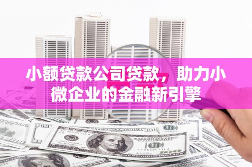 农安小额贷款公司贷款，助力小微企业的金融新引擎