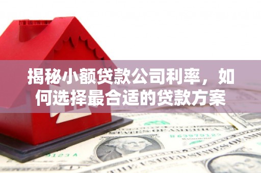 京口揭秘小额贷款公司利率，如何选择最合适的贷款方案