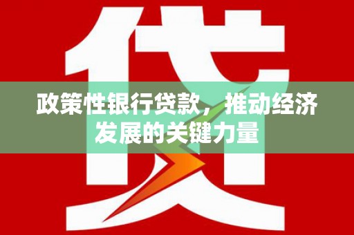 长丰政策性银行贷款，推动经济发展的关键力量