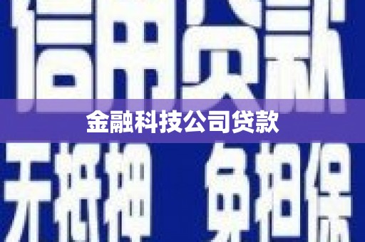 温宿金融科技公司贷款