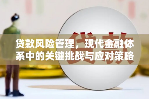 麦寮贷款风险管理，现代金融体系中的关键挑战与应对策略