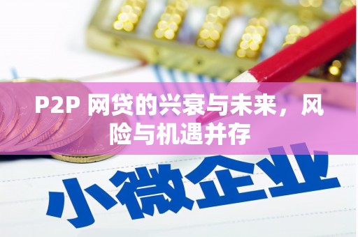 申扎P2P 网贷的兴衰与未来，风险与机遇并存