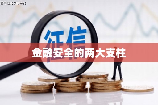 迪庆金融安全的两大支柱