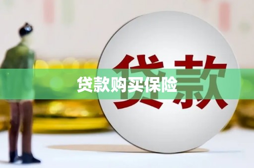 永新贷款购买保险