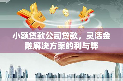 郑州小额贷款公司贷款，灵活金融解决方案的利与弊
